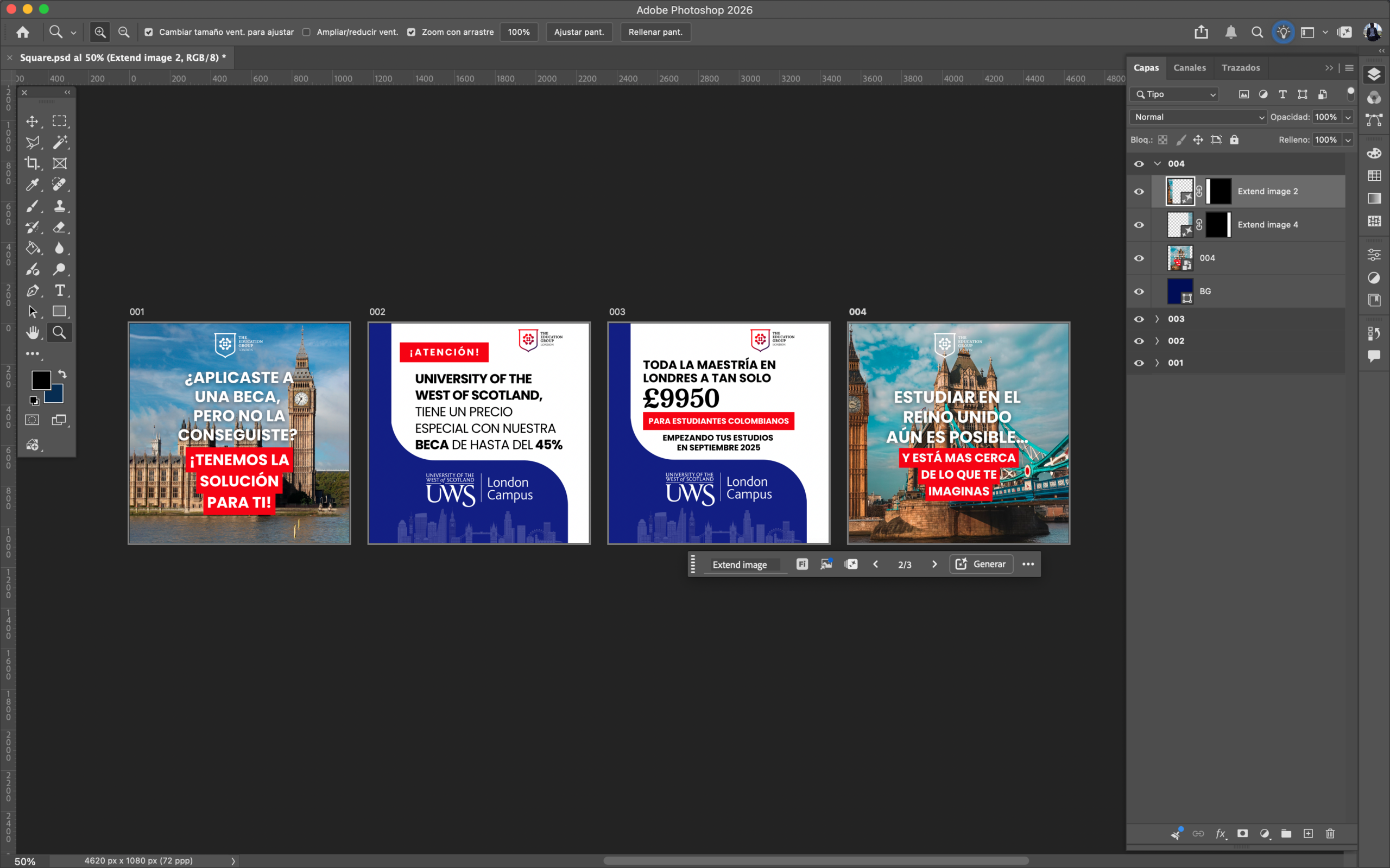 Project Asset