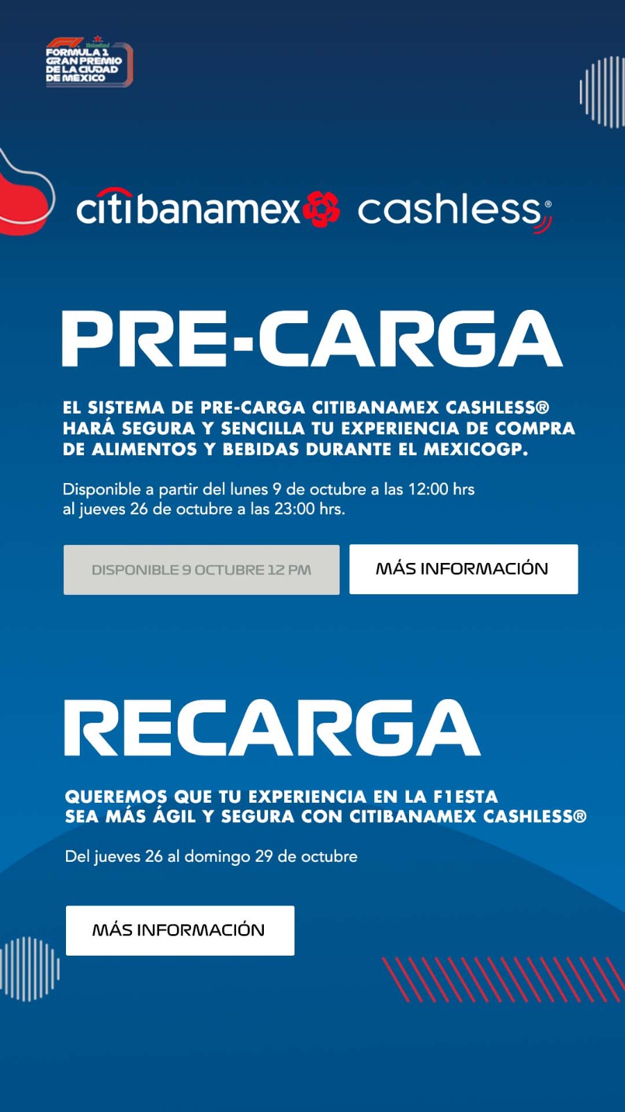 Project Asset